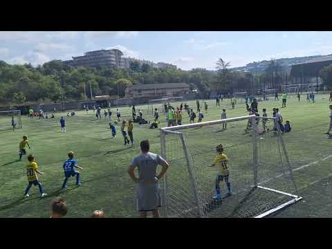 Video-Miniaturansicht