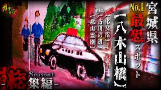 【心霊総集編】宮城県No.1最恐スポット『八木山橋』他に守護霊レベルMAXが挑む…【宮城県 心霊スポット 閲覧注意】
