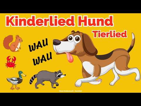 Kinderlied Hund Wau Wau 🐶 Das fröhliche Tierlied mit Verstecken 🐕🎵