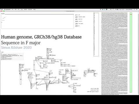 Human Genome GRCh38:hg38 Sonification