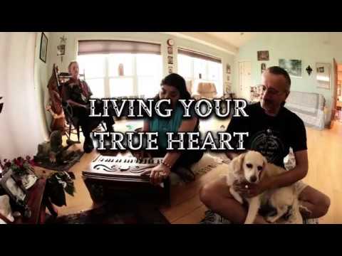 James Peterson - Counselor & Psychotherapy   video.