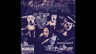 Snoop Dogg- Buck Em Slowed ft Sticky Fingaz