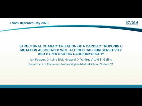 Thumbnail image of video presentation for Structural Characterization of a Cardiac Troponin C Mutation Associated with Altered Calcium Sensitivity and Hypertrophic Cardiomyopathy