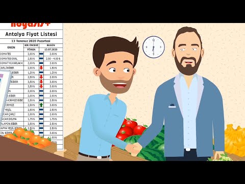Noyasis Plus Hal Komisyoncu Programı