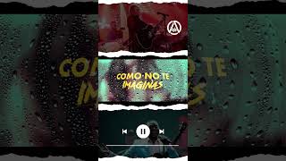 Anthony Santos feat Mozart La Para  SI tu Quieres Yo Quiero Video Lyric Oficial