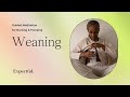 Guided Meditation For Nursing Pumping Weaning Your Baby Expectful
