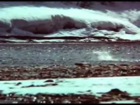 MixCult Radio Podcast # 065 Kirill Matveev - Remedy