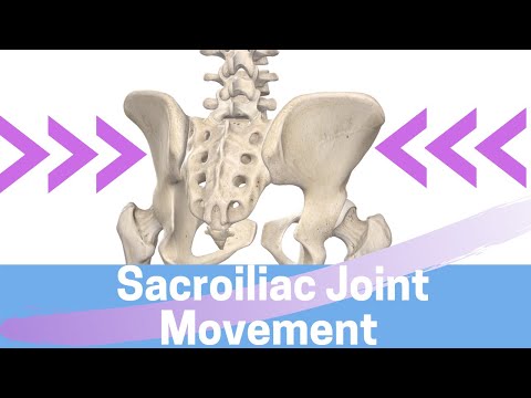 Sacroiliac Joint Movement: Nutation II Counternutation II Sacral Torsion II Iliac Torsion