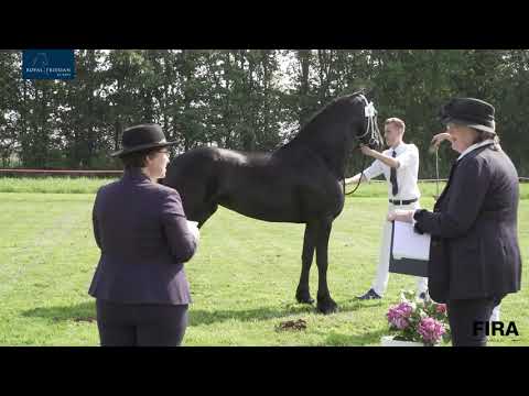 Locatiekeuring Stal fan de Kadyk 18-7-2020