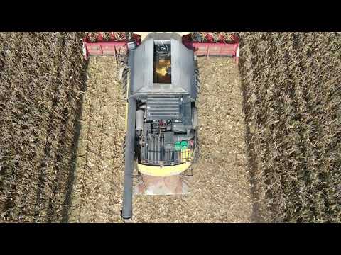 Fitoprodukt Kft. - MKK versenykukorica betakarítása - DKC5068