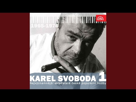 Kruh světla