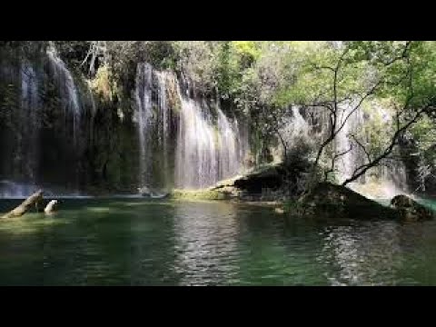 Forest Waterfalls Ambience With Bird Singing (1stVersion)(3hrs) Relaxing Music, Sounds of Nature,