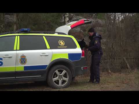 Kraftig ökning av bostadsinbrotten - Nyheterna (TV4)