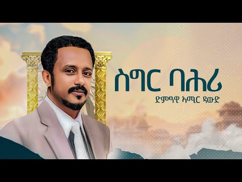 Amir Dawud 'ስግር ባሕሪ' Sigir Bahri - ኣሚር ዳዉድ - News Album 2024