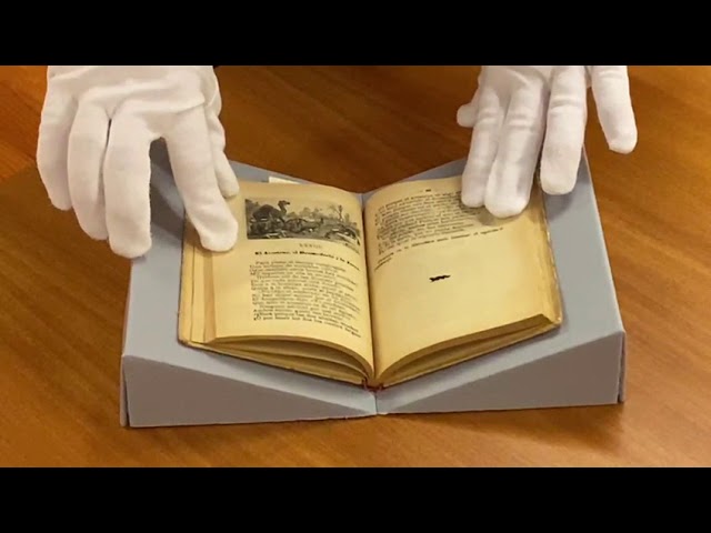 Vídeo relacionado con La librería