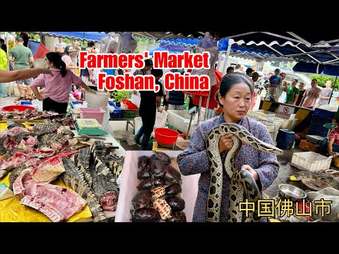 🇨🇳 Snakes, Scorpions, Crocodiles, Frogs & More at Sanzhou market, Foshan Guangdong, China