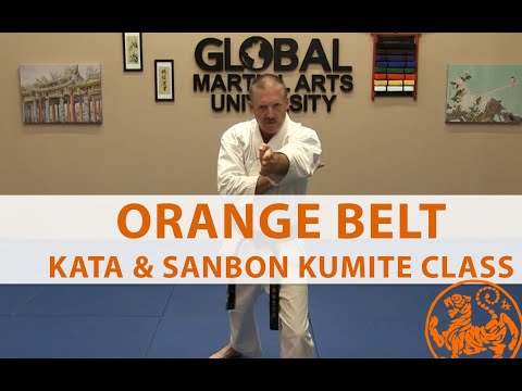 Shotokan Karate - 7th Kyu Orange - Kata + Sanbon Kumite Class thumbnail