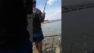 preview picture of video 'Menegangkann!!!!!! Perlawanan ikan ini sangat dahsyat..lihat jorannya samapai mau patah...'