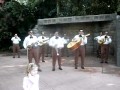 Mariachi Cobre - Tu Nombre Me Sabe a Hierba