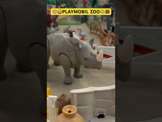 Vídeo relacionado con PLAYMOBIL MyLife 71600 Gran Zoo, extenso Conjunto de Zoo con 16 Animales nativos y exóticos, así como Variados Accesorios, Juguetes para niños y niñas a Partir de 4 años