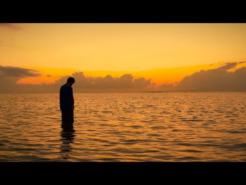 THE PURPOSE OF LIFE  - "La raison d'être" سبب وجودك