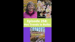 Hot Trends in Bulbs