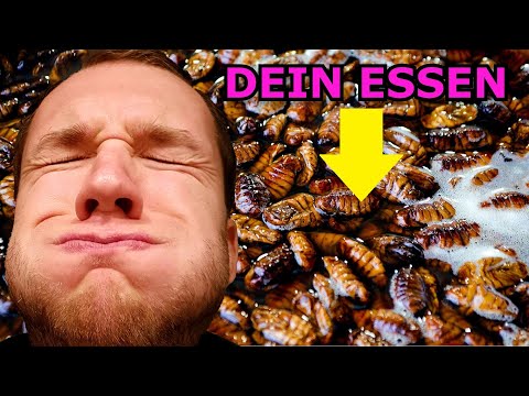 Insekten sind in deinem Essen! Ist das vegan? Ist das gesund? Hochwertiges Protein oder Lüge?