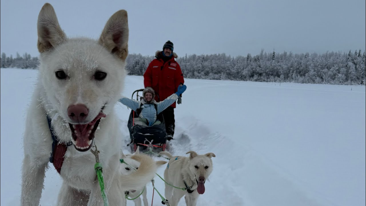 Winter Alaska in March - Video 2