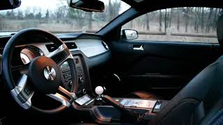 20k-Mile 2012 Ford Mustang Shelby GT350 Coupe 6-Speed Interior Viewing