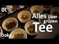 Der Grüne Tee Und Seine Wunderbare Welt Schmidt Max Freizeit Doku BR