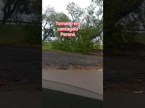 tornado em cantagalo Paraná