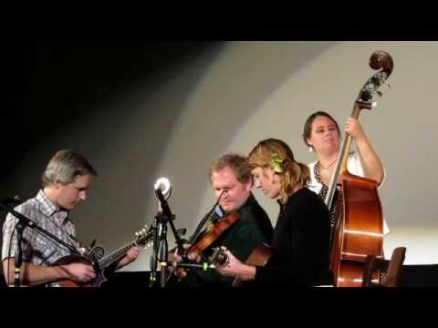 Foghorn Stringband: Jealous Hearted Me