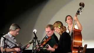 Foghorn Stringband: Jealous Hearted Me