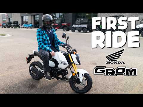 2025 Honda Grom Ride Review | Top Speed & Real-World Performance!
