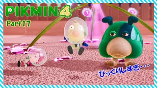 【 ピクミン4 】ルーイが大焦り！？捕らわれたスパニエルさんを救え！【 ゆっくり実況 】Part17 #ピクミン  #ピクミン4