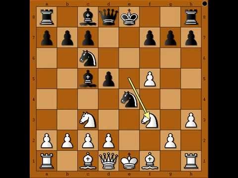 Jos jedan fantastican mat - OUDHEUSDEN vs VRIES - Becki gambit # 564