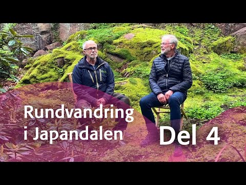 Rundvandring i Japandalen - del 4