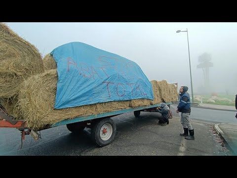 Video | French farmers protest lumpy skin disease cull outside shopping centre | AFP