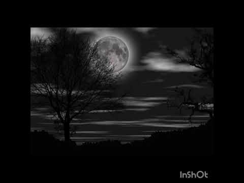 Kayıp Şair : Seni Var Sanmıştı