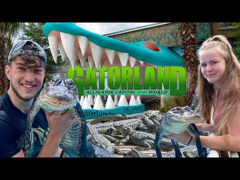 Gatorland Orlando 2026 : Inside Florida’s Famous Alligator Park 