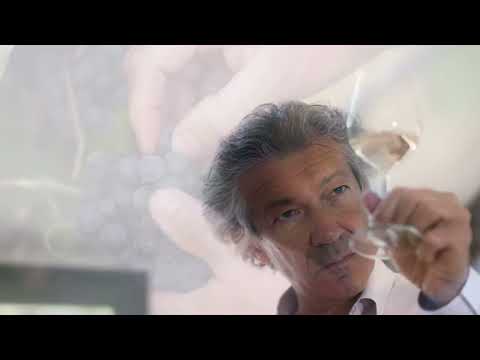 Clos du Temple - Gérard Bertrand