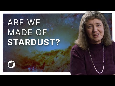 Are We Made of Stardust?