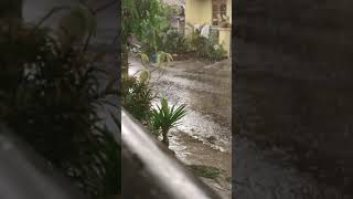 Download lagu Story wa Hujan Sore Hari, Kamis 9 Desember 2021 mp3 Download lagu Story wa Hujan Sore Hari, Kamis 9 Desember 2021 mp3