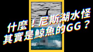 [多拉] 小叮噹裡多次出現尼斯湖水怪可能是鯨魚GG