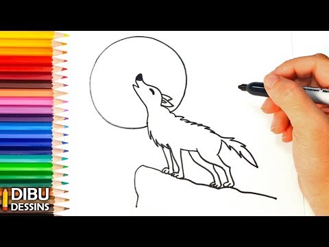 Comment dessiner un Loup | Dessin de Loup