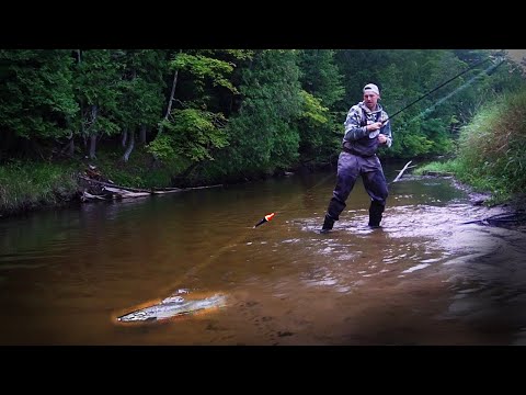 River Salmon Float Fishing 2022 - BOBBER DOWN Action & Tips