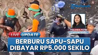 Berburu Cuan dari Hama, Petugas PPSU Dibayar Rp5.000 Tiap Tangkap Sekilo Ikan Sapu-sapu