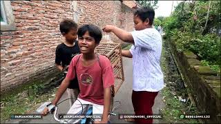 Download lagu FUN RACING PIGEON COMPETITION WITH CHILDREN mp3