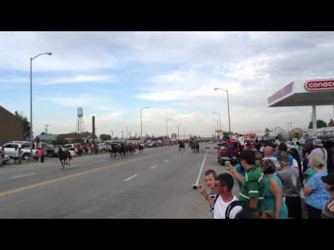 NAID Running of the Horses 2014