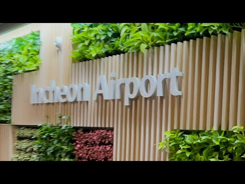 Temperatura de outono / inverno em Seul, Coreia do Sul | Aeroporto de Incheon | 8 de novembro de 2023 | Seul Dragon City